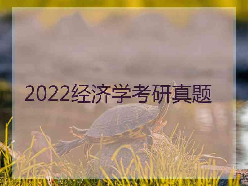 2022经济学考研真题