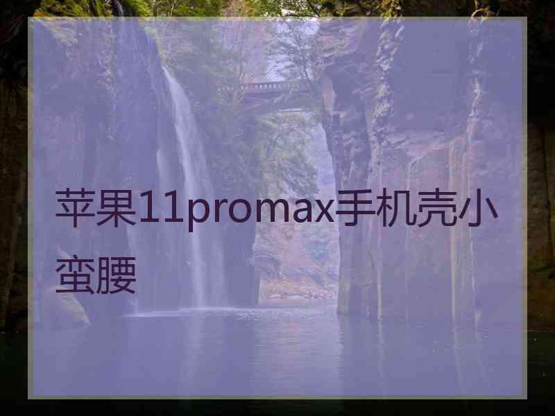 苹果11promax手机壳小蛮腰