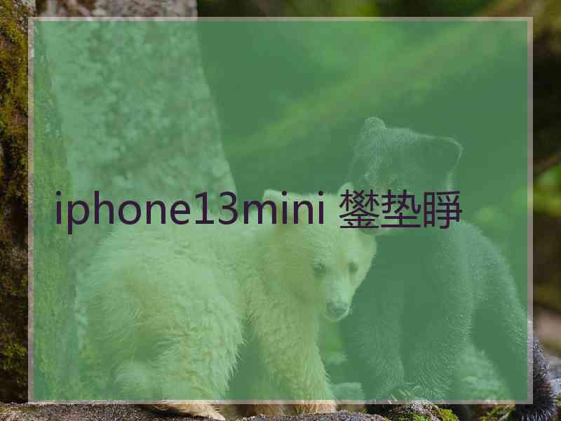 iphone13mini 鐢垫睜