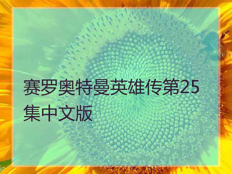 赛罗奥特曼英雄传第25集中文版