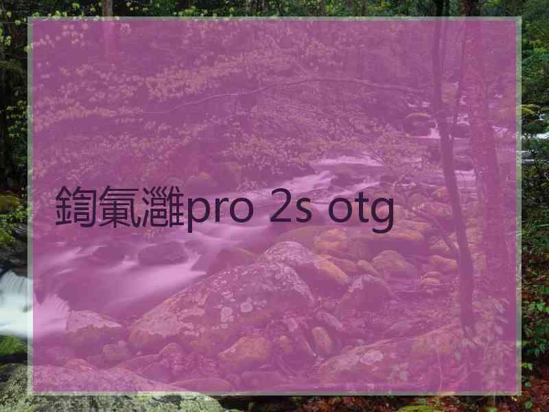 鍧氭灉pro 2s otg