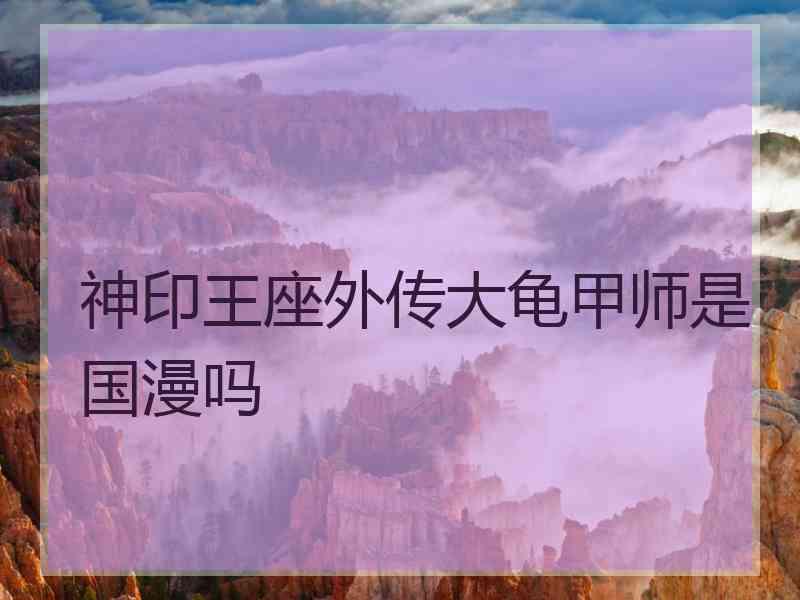 神印王座外传大龟甲师是国漫吗