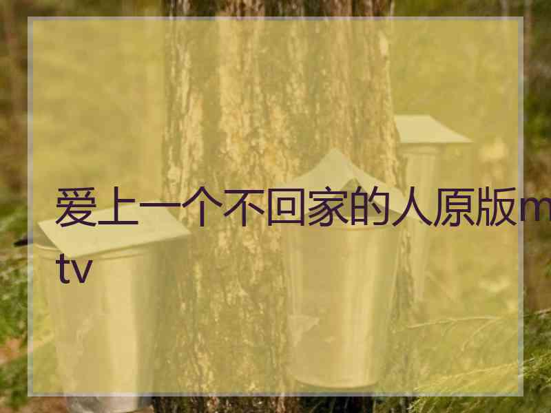 爱上一个不回家的人原版mtv