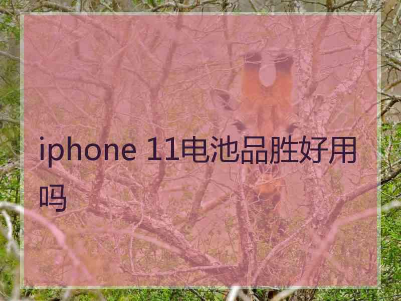 iphone 11电池品胜好用吗