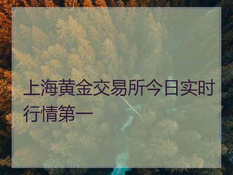 上海黄金交易所今日实时行情第一