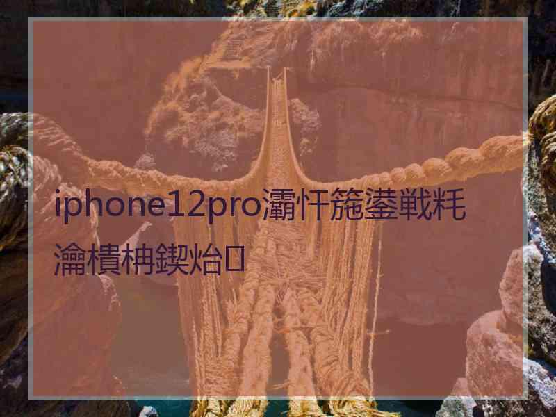 iphone12pro灞忓箷鍙戦粍瀹樻柟鍥炲