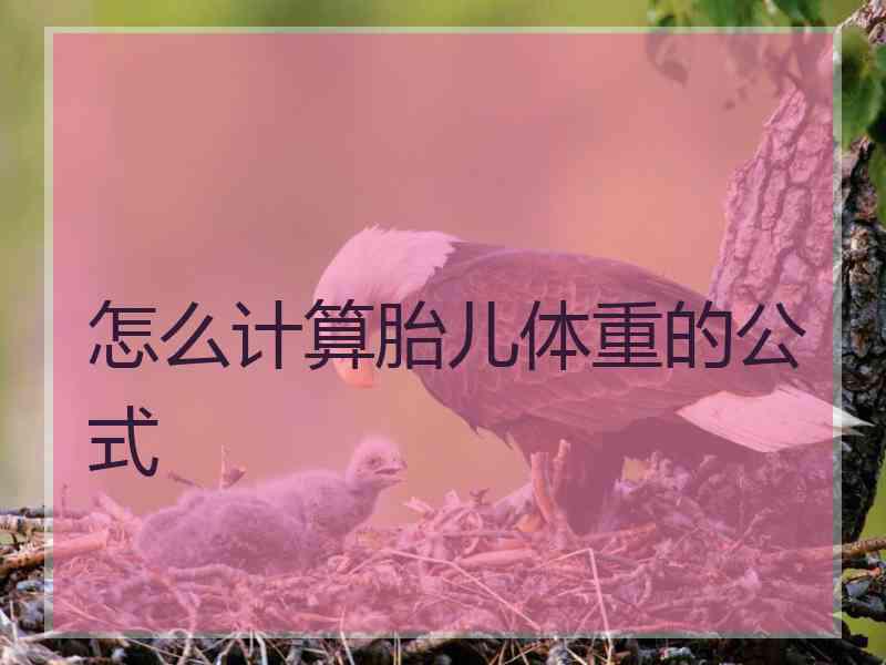 怎么计算胎儿体重的公式