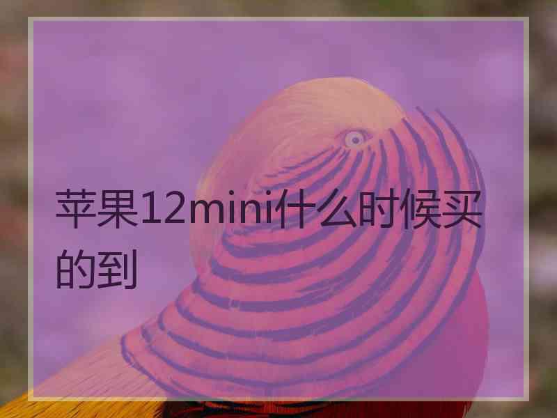 苹果12mini什么时候买的到