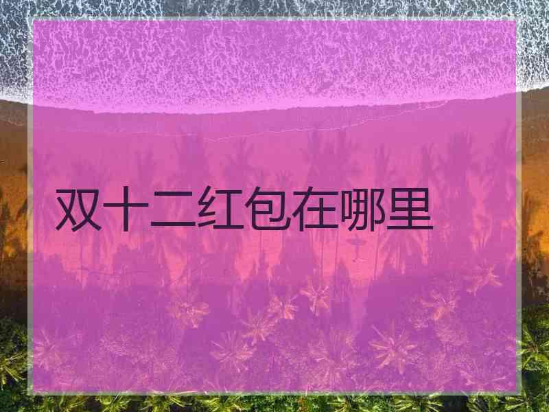 双十二红包在哪里