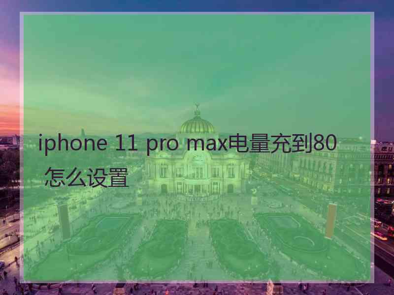 iphone 11 pro max电量充到80 怎么设置