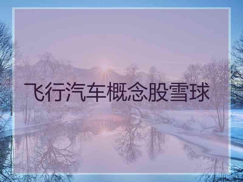 飞行汽车概念股雪球