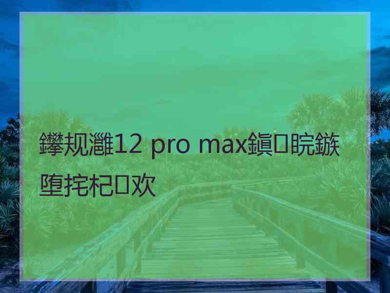 鑻规灉12 pro max鎭睆鏃堕挓杞欢