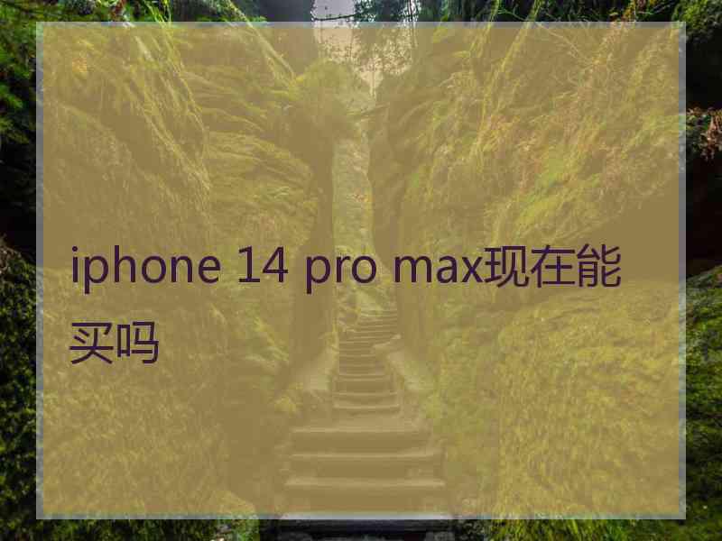 iphone 14 pro max现在能买吗