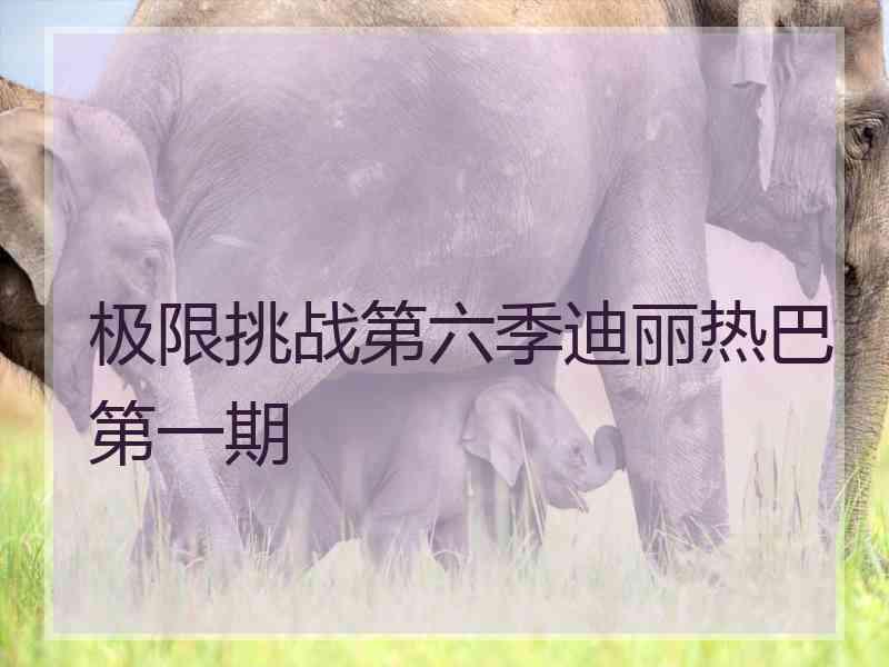 极限挑战第六季迪丽热巴第一期