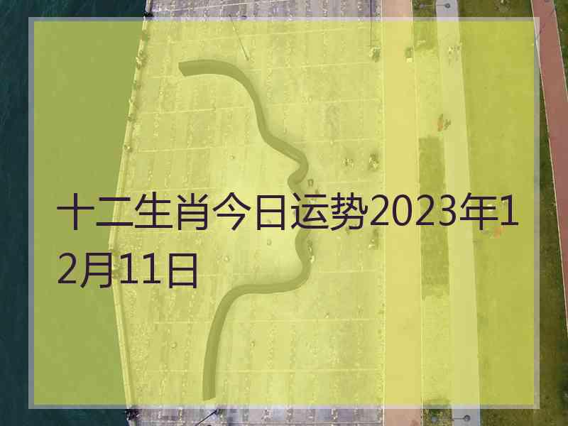 十二生肖今日运势2023年12月11日