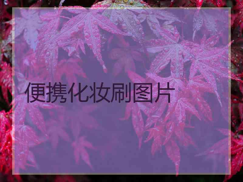 便携化妆刷图片