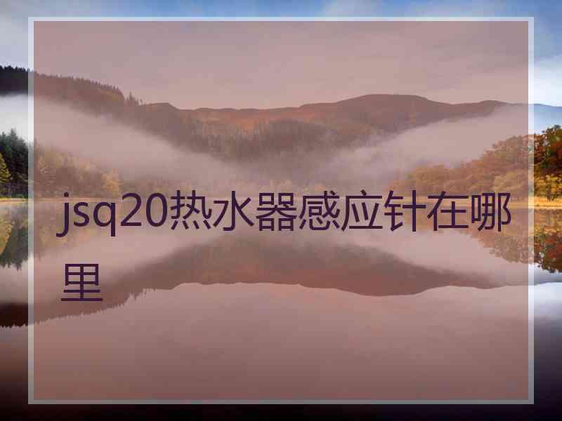 jsq20热水器感应针在哪里