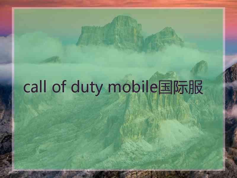 call of duty mobile国际服