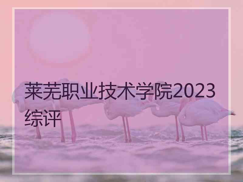 莱芜职业技术学院2023综评