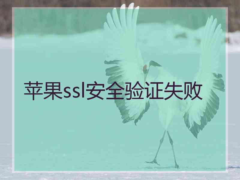 苹果ssl安全验证失败