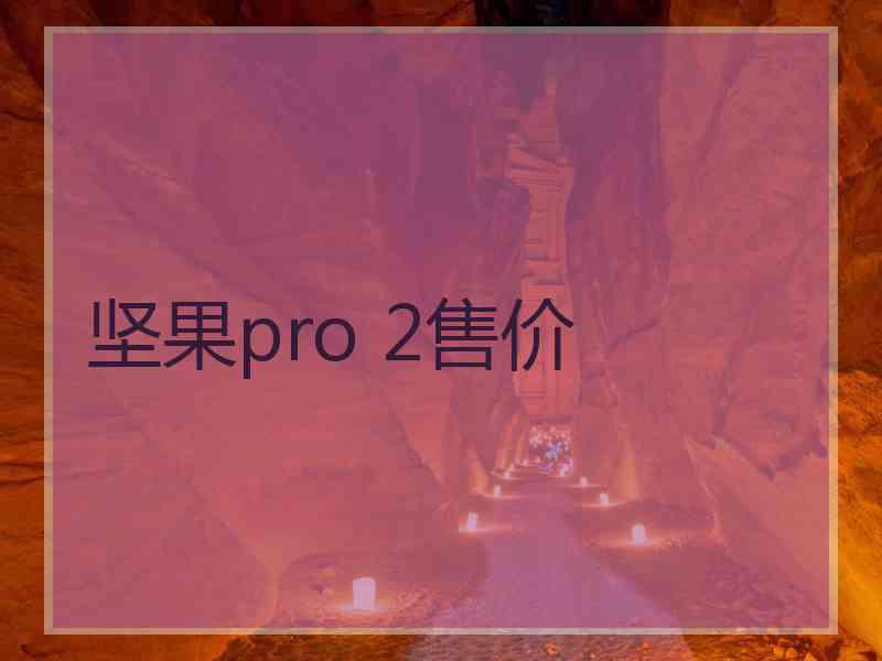 坚果pro 2售价