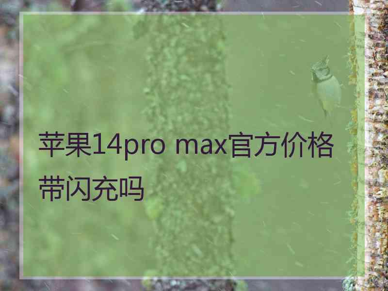 苹果14pro max官方价格带闪充吗