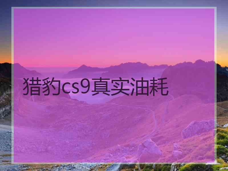 猎豹cs9真实油耗