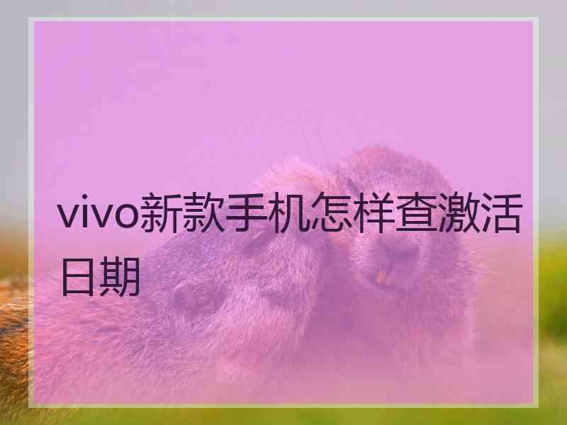 vivo新款手机怎样查激活日期