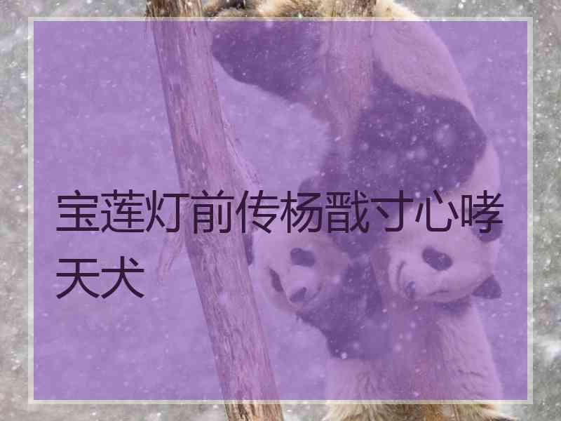 宝莲灯前传杨戬寸心哮天犬