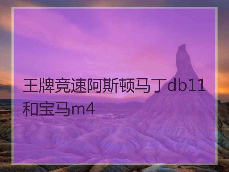 王牌竞速阿斯顿马丁db11和宝马m4