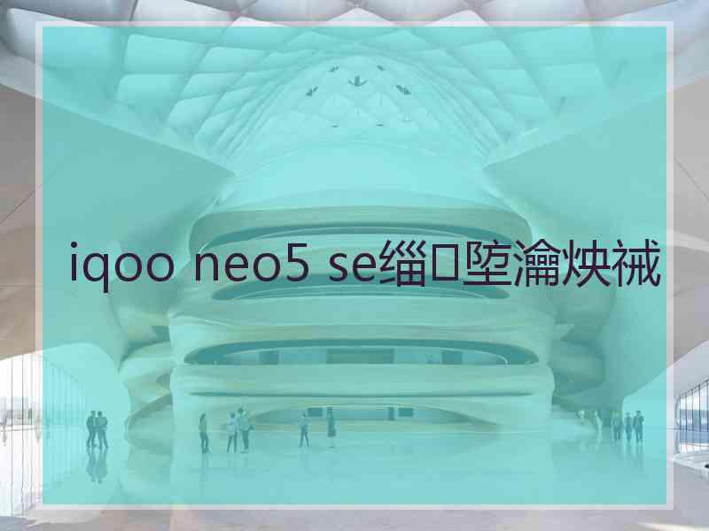 iqoo neo5 se缁埅瀹炴祴