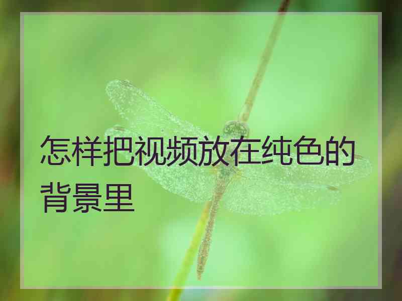 怎样把视频放在纯色的背景里