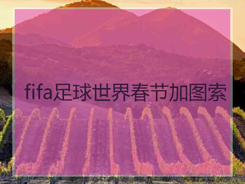 fifa足球世界春节加图索