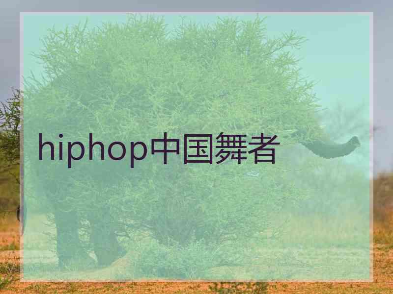 hiphop中国舞者