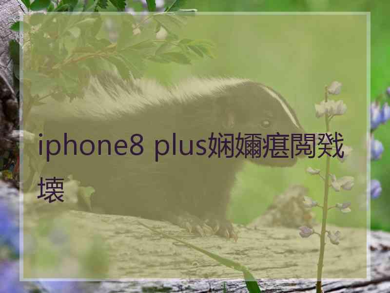 iphone8 plus娴嬭瘎閲戣壊