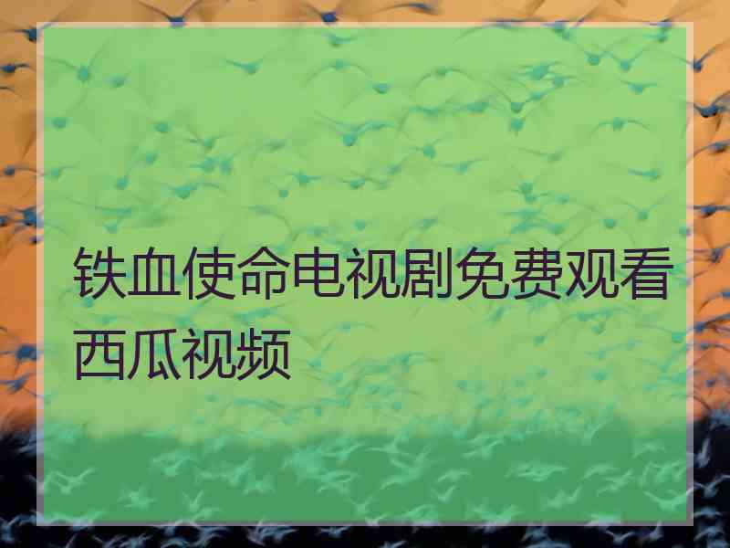 铁血使命电视剧免费观看西瓜视频