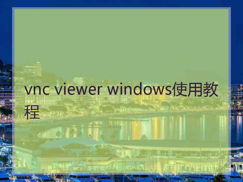 vnc viewer windows使用教程