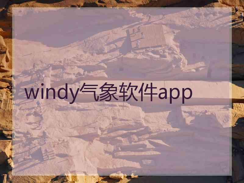 windy气象软件app