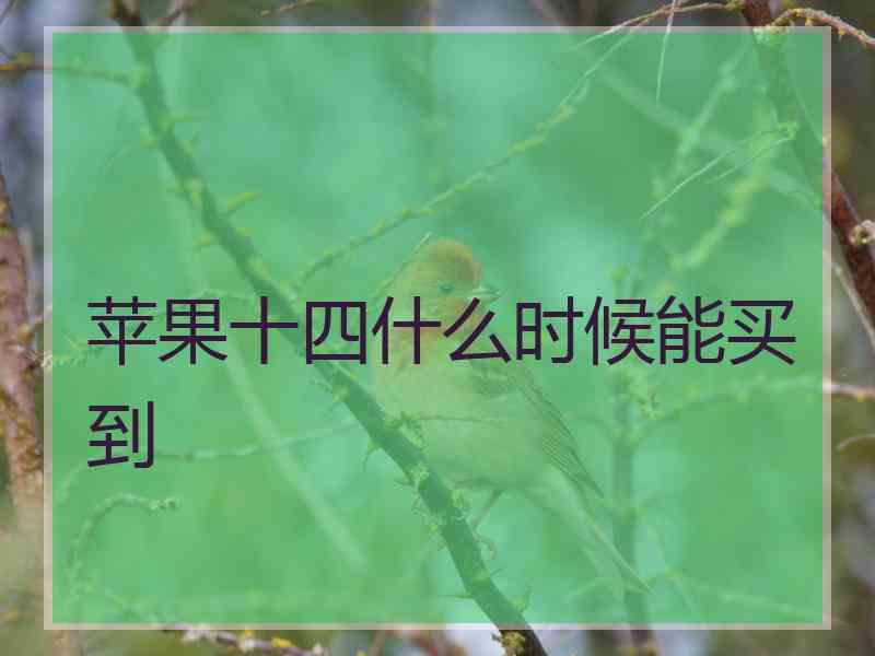 苹果十四什么时候能买到