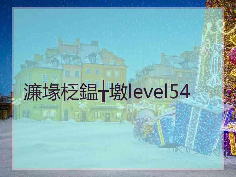 濂堟柉鎾╁墽level54