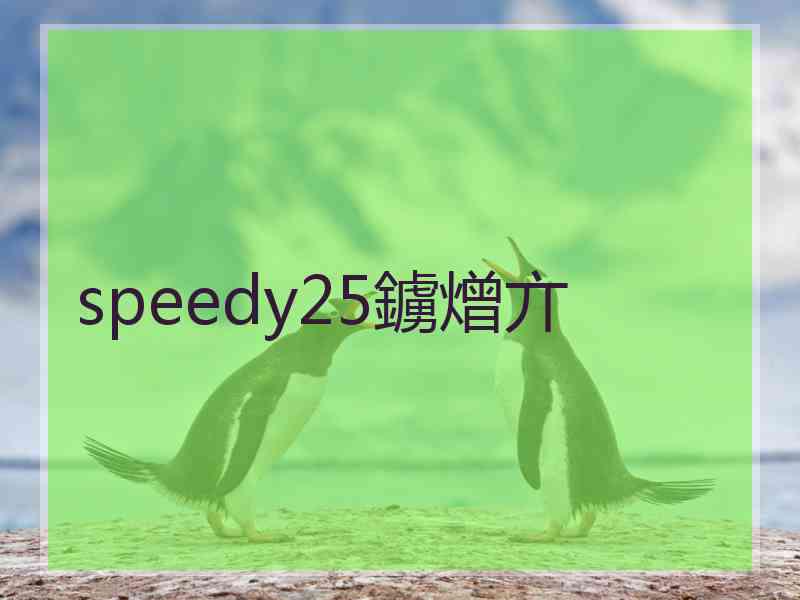 speedy25鐪熷亣