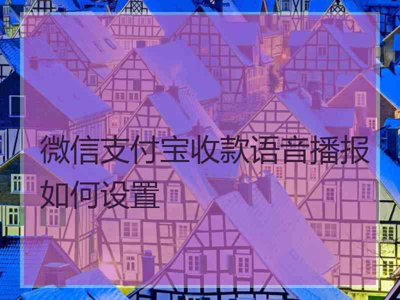 微信支付宝收款语音播报如何设置