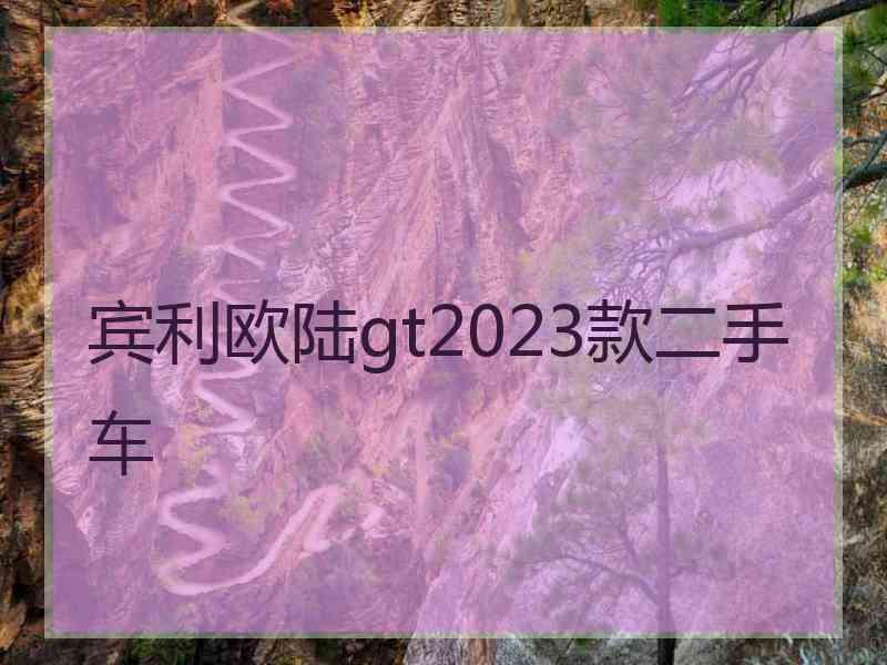 宾利欧陆gt2023款二手车