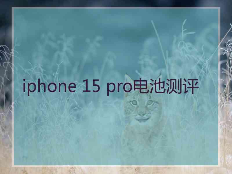 iphone 15 pro电池测评