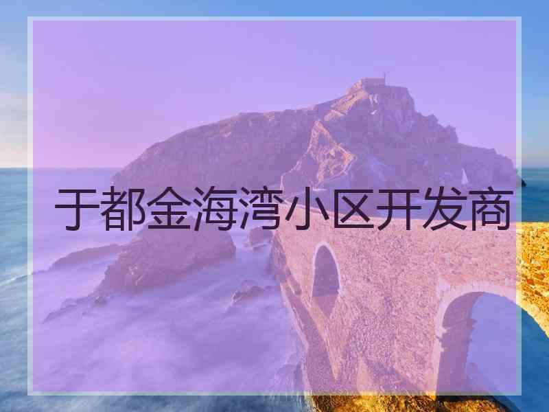 于都金海湾小区开发商