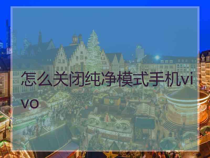 怎么关闭纯净模式手机vivo