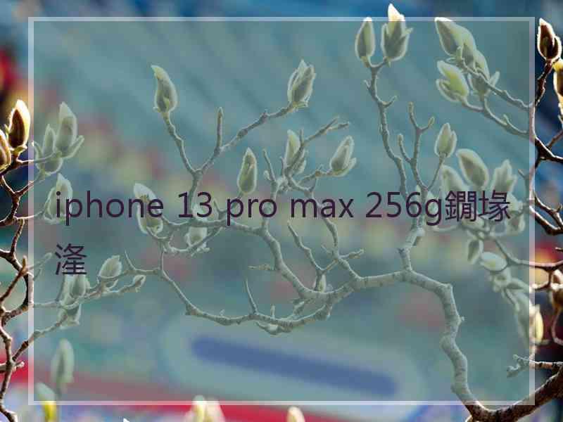 iphone 13 pro max 256g鐗堟湰