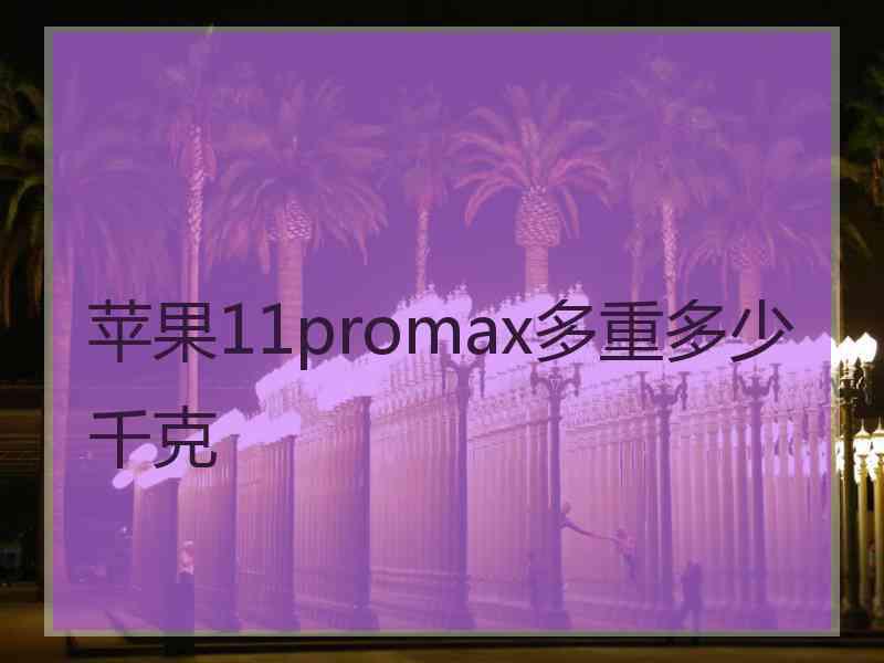 苹果11promax多重多少千克