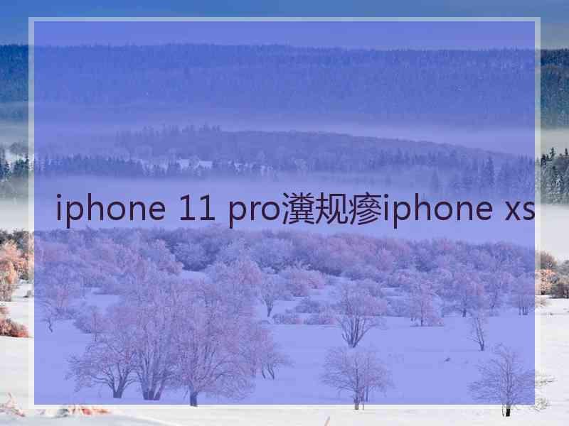 iphone 11 pro瀵规瘮iphone xs