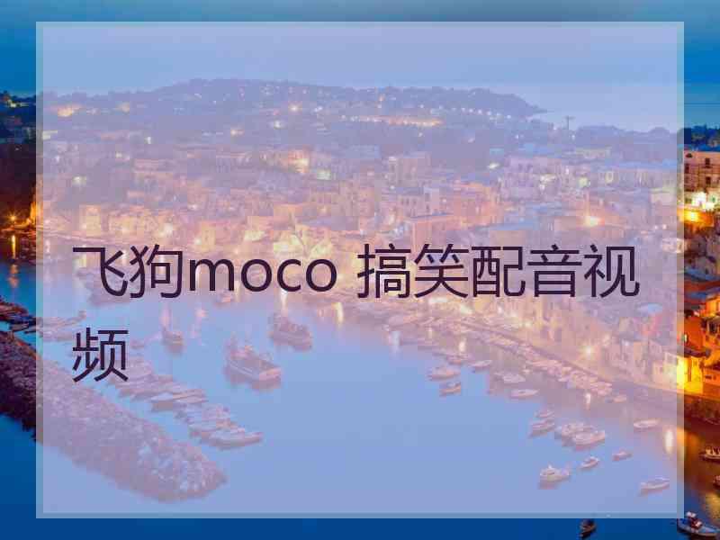 飞狗moco 搞笑配音视频